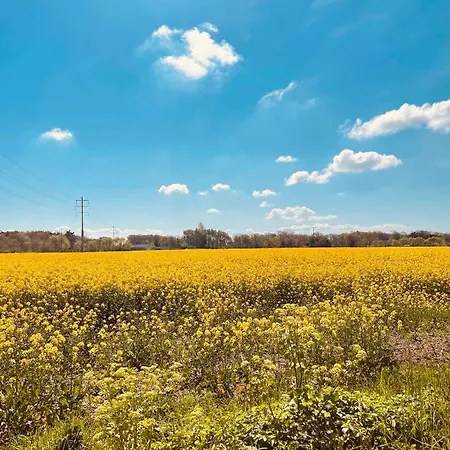 La P'tite Grange La Cotinière